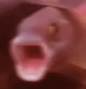 REEE