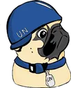 UNPUG UNPUG