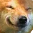 pupperW