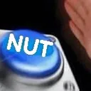 NUT NUT