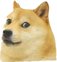doge Discord emoji