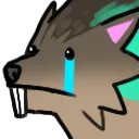 sadgnasher