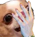DumbDog