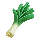 leek