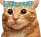 WowCat