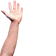 viklundArm2