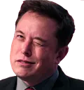 ElonWink