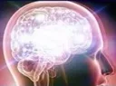brain2