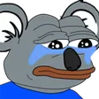 FeelsDropBear FeelsDropBear
