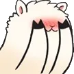 alpacashy