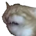 ECH ECH