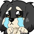 kayyCry