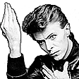 vineBowie