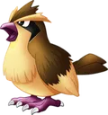 pidgey