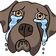 maluFeels