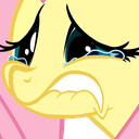 FlutterWince Discord emoji
