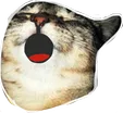 meowGASM