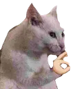 Cat_is_OK