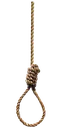 noose