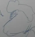 brodypaper