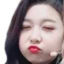 DamiPout