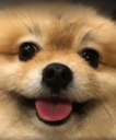 uwotm8 Discord emoji