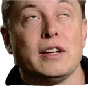 ElonMachDiamonds ElonMachDiamonds