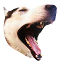 mavirage mavirage