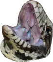 teguLUL