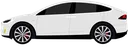modelx_white