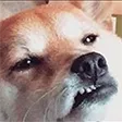 grr