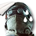 flakdecision