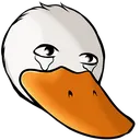 sadduckdolan