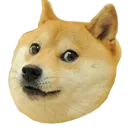 ConcernDoge ConcernDoge