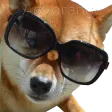 CoolBOYE