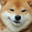 SmugBOYE