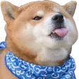 RudeBOYE RudeBOYE