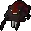 Venenatis_spiderling