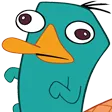 PerryDerp PerryDerp
