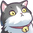 k3llyCAT
