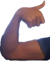 flex