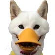 DuckBOYE