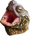 TurTleGASM