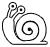 tfsnail