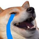 sad_doge