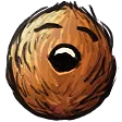cocobNut cocobNut
