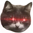 mksCalzini
