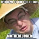ricefield
