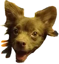 jax