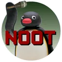 NOOT